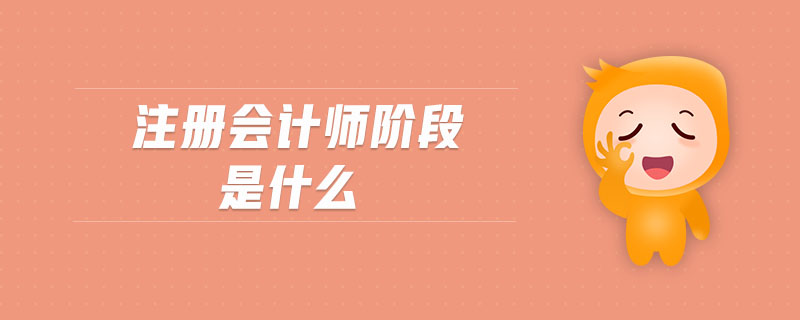 注冊會(huì)計(jì)師階段是什么