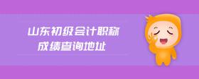 山東初級(jí)會(huì)計(jì)職稱成績(jī)查詢地址