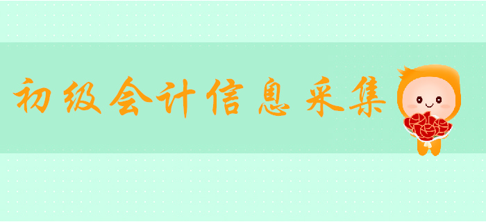 青海2019年初級會計信息采集通知