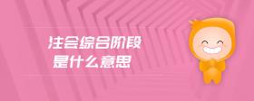 注會綜合階段是什么意思