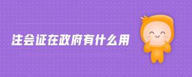 注會證在政府有什么用