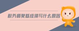 稅務(wù)師復(fù)核成績寫什么原因