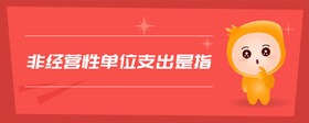 非經(jīng)營性單位支出是指