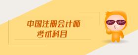 中國注冊會計(jì)師考試科目
