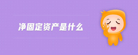 凈固定資產是什么