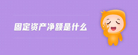 固定資產凈額是什么