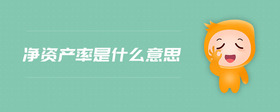 凈資產率是什么意思