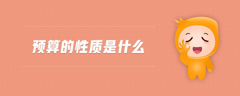 預(yù)算的性質(zhì)是什么