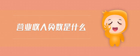 營業(yè)收入負數(shù)是什么