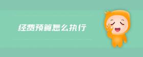 經(jīng)費預算怎么執(zhí)行