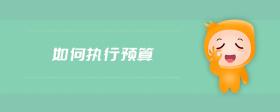 如何執(zhí)行預算