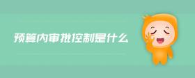 預(yù)算內(nèi)審批控制是什么