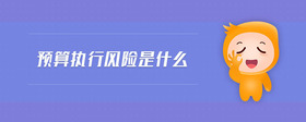 預(yù)算執(zhí)行風(fēng)險(xiǎn)是什么