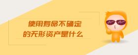 使用壽命不確定的無形資產(chǎn)是什么