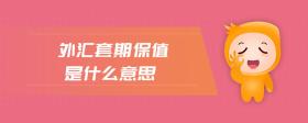 外匯套期保值是什么意思