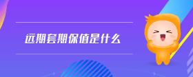 遠期套期保值是什么