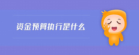 資金預(yù)算執(zhí)行是什么