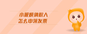 小規(guī)模納稅人怎么申領(lǐng)發(fā)票