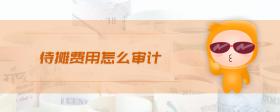 待攤費(fèi)用怎么審計(jì)