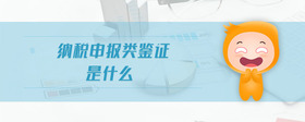 納稅申報類鑒證是什么
