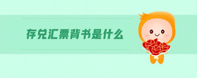 存兌匯票背書是什么