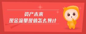 資產(chǎn)未來現(xiàn)金流量現(xiàn)值怎么預(yù)計
