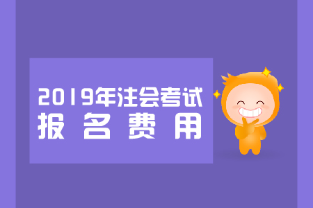 2019年西藏cpa報名一科多少錢？