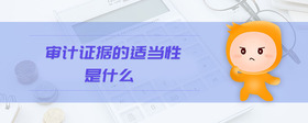 審計證據(jù)的適當性是什么