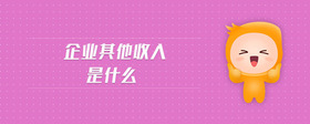 企業(yè)其他收入是什么