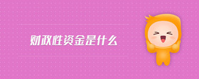 財政性資金是什么