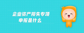 企業(yè)資產(chǎn)損失專項(xiàng)申報(bào)是什么