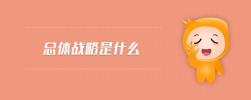 總體戰(zhàn)略是什么