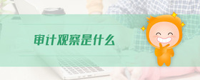 審計觀察是什么