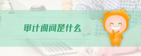 審計詢問是什么