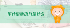 審計重新執(zhí)行是什么
