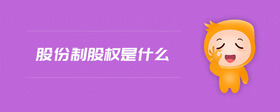 股份制股權(quán)是什么