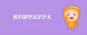 股份制基金是什么