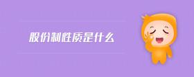 股份制性質(zhì)是什么