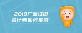 2019廣西注冊(cè)會(huì)計(jì)師如何報(bào)名