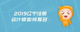2019遼寧注冊(cè)會(huì)計(jì)師如何報(bào)名