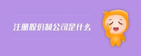 注冊(cè)股份制公司是什么
