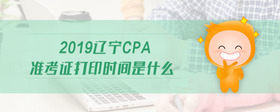 2019遼寧cpa準考證打印時間是什么