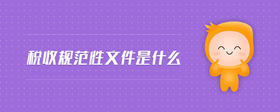 稅收規(guī)范性文件是什么