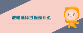 戰(zhàn)略選擇過(guò)程是什么