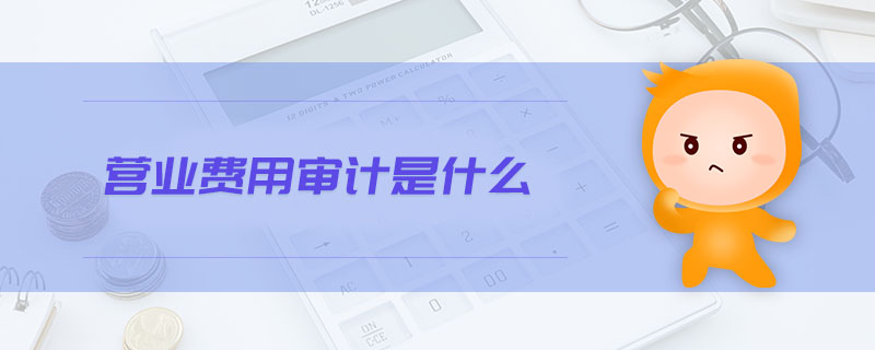 營業(yè)費(fèi)用審計是什么