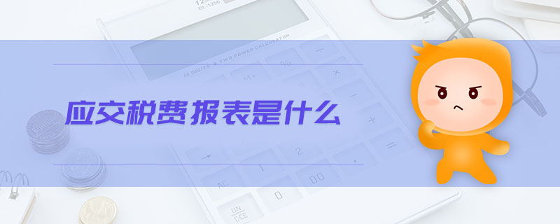 應(yīng)交稅費(fèi)報(bào)表是什么