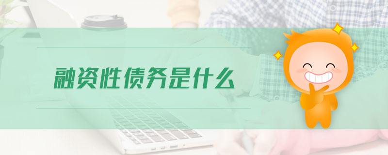 融資性債務(wù)是什么