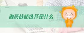 融資戰(zhàn)略選擇是什么