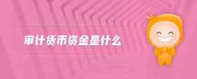 審計貨幣資金是什么