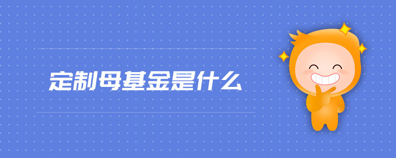 定制母基金是什么